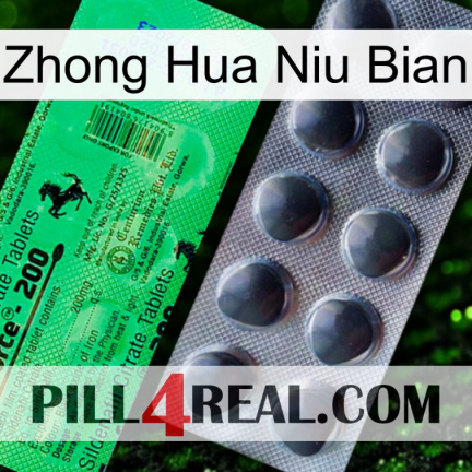 Zhong Hua Niu Bian new04